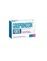 Groprinosin Forte 1000 mg - 10 tabletek - miniaturka zdjęcia produktu